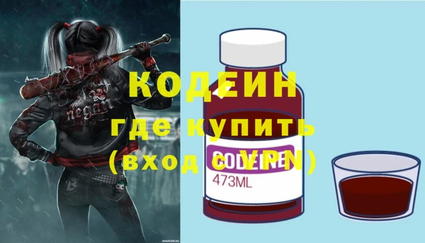 индика Нязепетровск