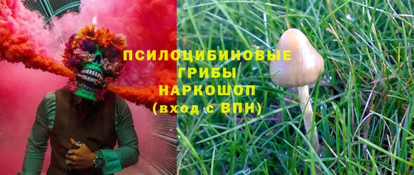 индика Нязепетровск